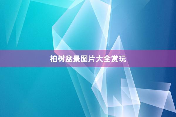 柏树盆景图片大全赏玩